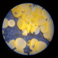 Microscop portabil de buzunar pentru copii cu zoom reglabil 60-120x
