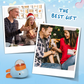 🐾Câine Interactive Treat Box Jucărie